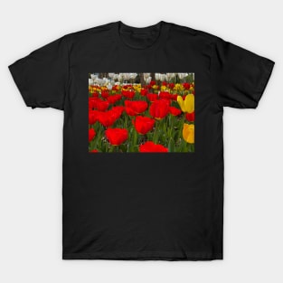 Dancing Tulips T-Shirt